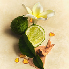 Lotion and Mist Duo G6